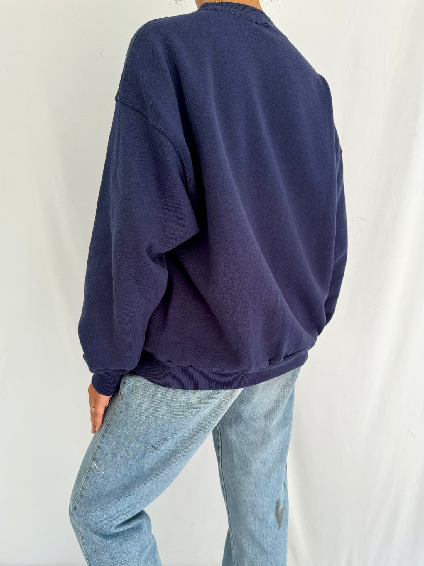 90s vintage blue dolphins florida usa graphic pullover sweatshirt – medium large | unisex nature souvenir crewneck sweater