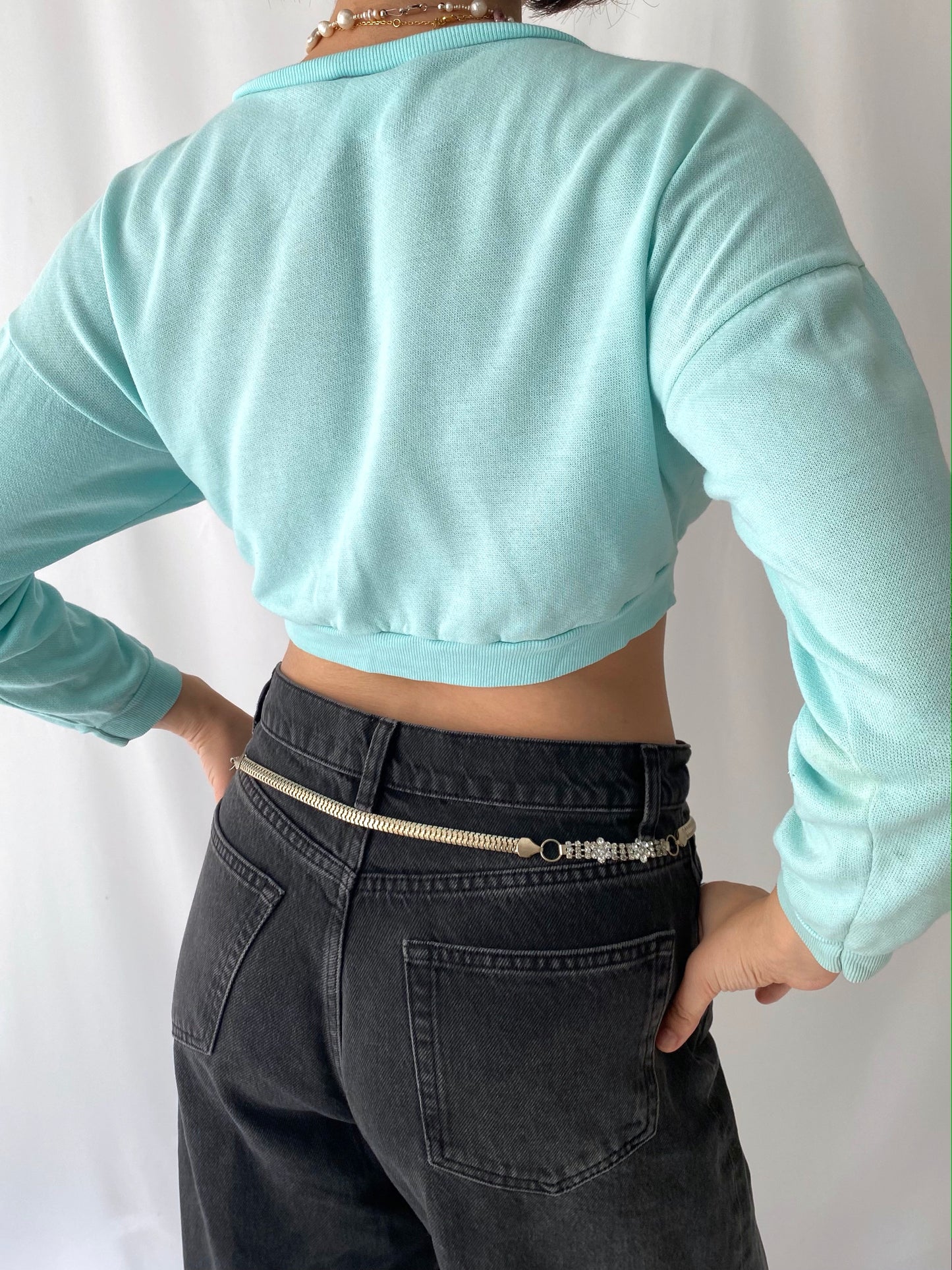 80s vintage light blue tiger face graphic cropped pullover sweater – small | novelty long sleeved jewel crop top