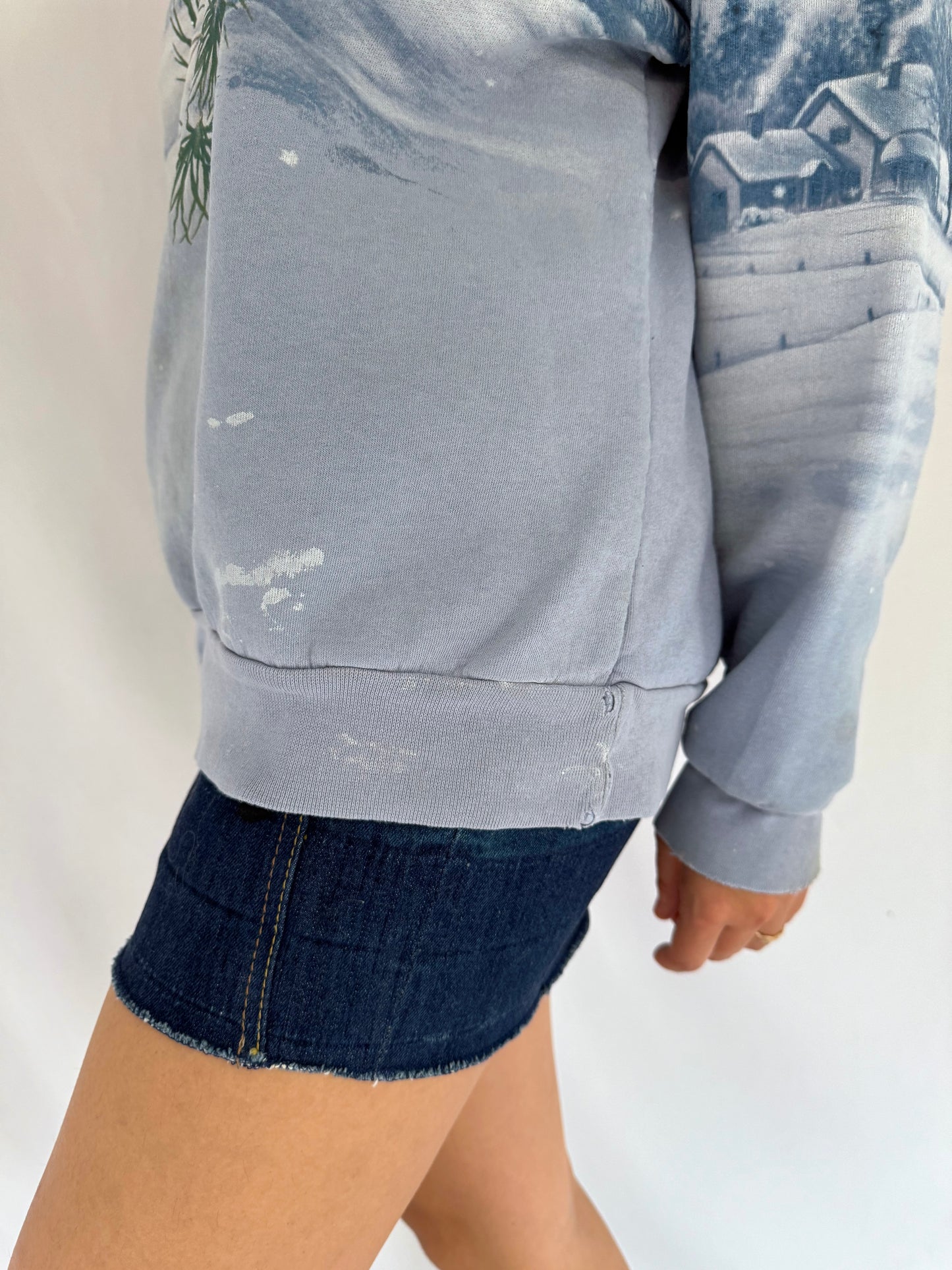 90s vintage blue snowy winter birds scene graphic pullover sweatshirt