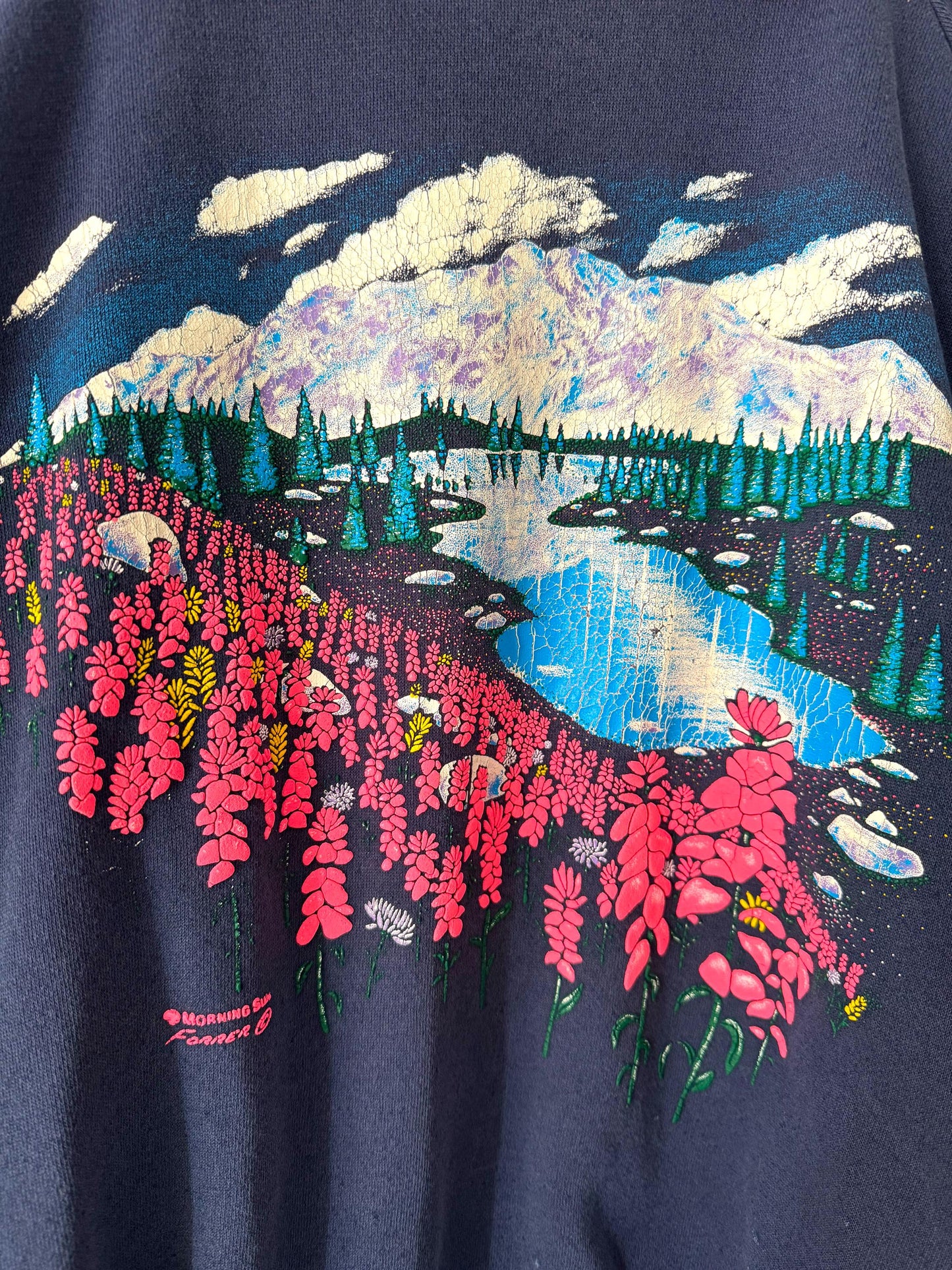 90s vintage colorful neon outdoor scene pullover sweatshirt 