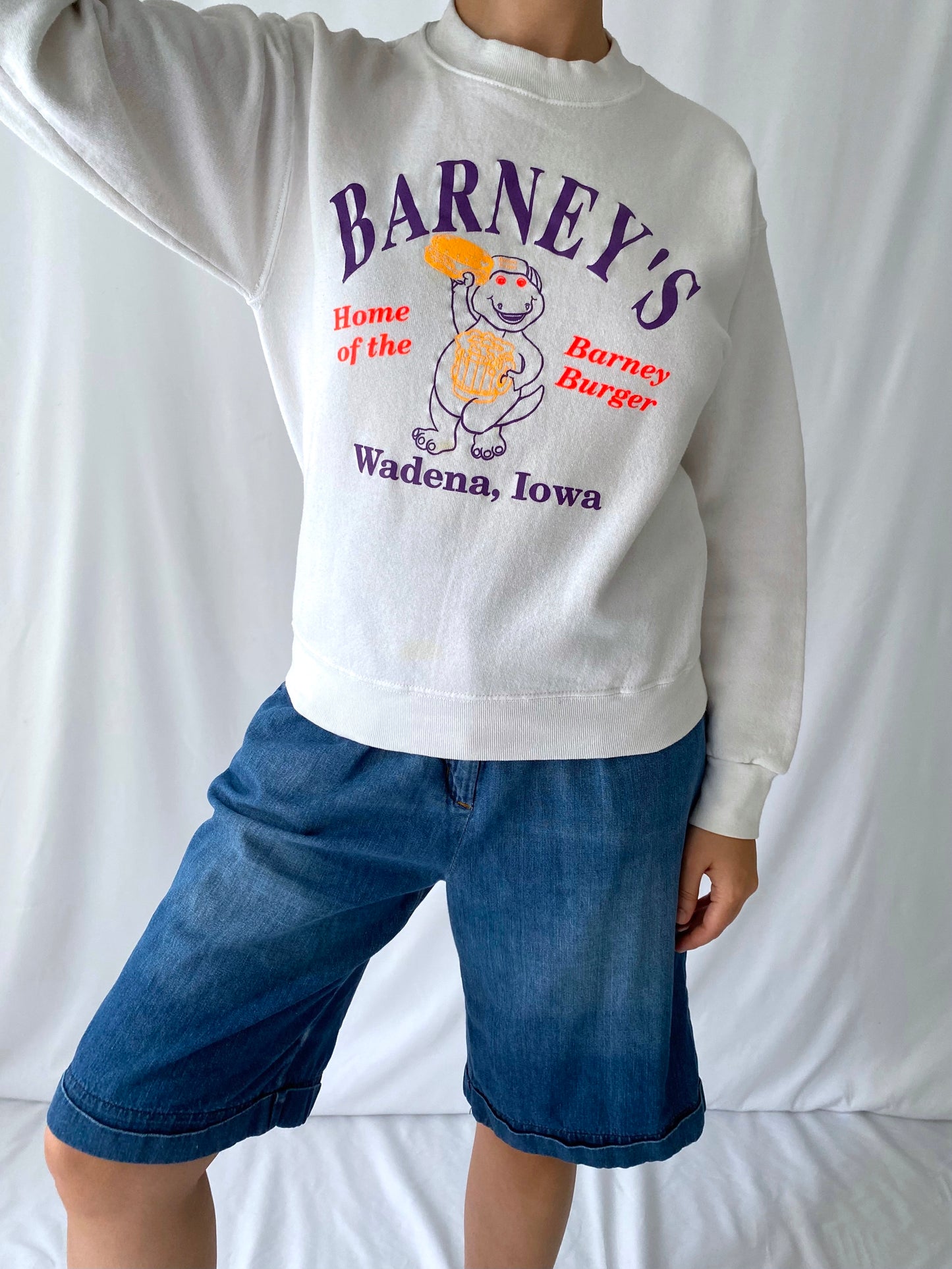 90s vintage barneys burgers white neon pullover sweatshirt – small | novelty cartoon crewneck long sleeved sweater