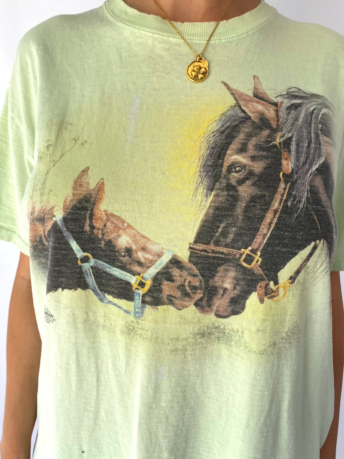 y2k vintage green faded horses graphic tee shirt – medium | nature animal soft pure cotton short sleeved tshirt